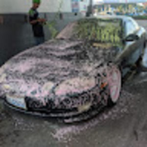 Meet your Posher, Gordo